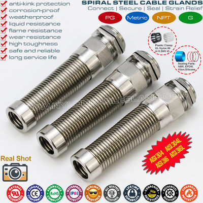 AISI316L, AISI316, AISI304 스테인리스 스틸 금속 PG 플렉서블 케이블 글랜드 (IP68) 추가 나선 스트레인 완화